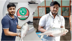অনলাইনে ইলিশ কেনা: সুবিধার ঝুঁকি আর নিরাপত্তার সন্ধানে