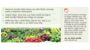 ৮০ টাকার নিচে নেই বেশিরভাগ সবজি