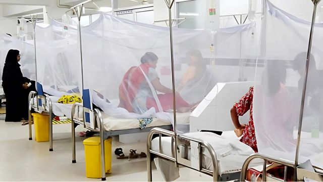 গত ২৪ ঘণ্টায় দেশে ৪৩০ জন ডেঙ্গুতে হাসপাতালে ভর্তি, কেউ মারা যাননি গত ২৪ ঘণ্টায় দেশে ৪৩০ জন ডেঙ্গুতে হাসপাতালে ভর্তি, কেউ মারা যাননি