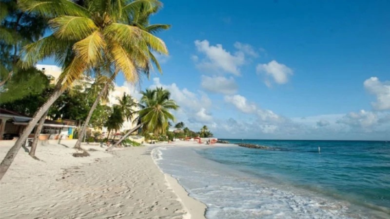 সেন্ট মার্টিন দ্বীপে সরকারের মহাপরিকল্পনা, বদলে যাবে দ্বীপের চিত্র সেন্ট মার্টিন দ্বীপে সরকারের মহাপরিকল্পনা, বদলে যাবে দ্বীপের চিত্র