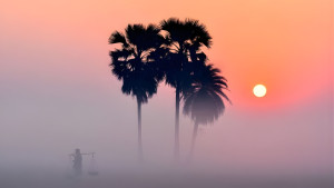 নওগাঁয় তাপমাত্রা নেমেছে ১২ ডিগ্রিতে