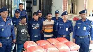 এক পিকআপেই ২২ লাখ টাকার গাঁজা