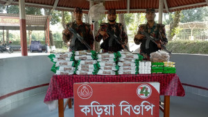 বিজিবির অভিযানে বিপুল পরিমাণ ভারতীয় পণ্য জব্দ