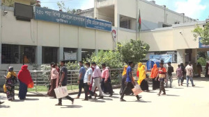 রসুন ক্ষেতে মুরগি, চাচাতো ভাইয়ের হাতে কৃষক খুন