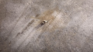 মানিকগঞ্জে জোড়া ককটেল বিস্ফোরণ