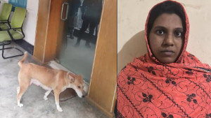 ৮ কুকুরছানা হত্যায় সরকারি কর্মকর্তার স্ত্রী গ্রেপ্তার