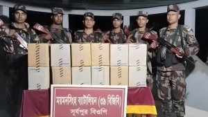ময়মনসিংহ সীমান্তে বিজিবির অভিযানে ভারতীয় মালামাল আটক