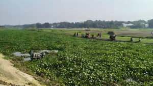 কুমিল্লায় নদীতে ট্রলি উল্টে একই গ্রামের ৩ নারী নিহত