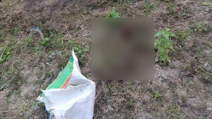 পরিত্যক্ত ককটেল বিস্ফোরণে শিশু আহত