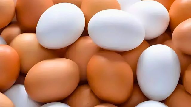 সাদা ডিম সস্তা, লাল ডিম বিলাস-ভোক্তারা বলছেন ‘ডিম খেলেও ভাবতে হয়’