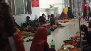বরগুনায় বাড়ছে ডেঙ্গু আক্রান্তের সংখ্যা, সামনে বড় সংকট?