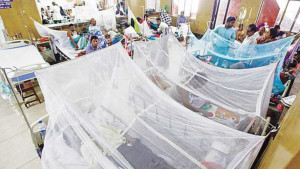 বরিশালে ডেঙ্গু আক্রান্তের সংখ্যা তিন হাজার ছাড়াল