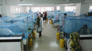 দাউদকান্দিতে ডেঙ্গু ব্যাপক, আক্রান্ত সংখ্যা নিয়ে গরমিল