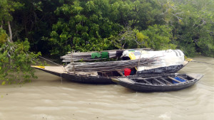 সুন্দরবনে দাপিয়ে বেড়াচ্ছে ২০ দস্যু বাহিনী