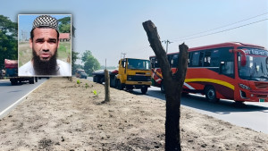 অর্ধশত বকুলগাছ কাটা সেই ব্যক্তি গ্রেপ্তার