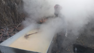 শীতের সকালে ধোঁয়া-সুবাসে ভরা চুলা, খেজুর গুড় তৈরির ধুম