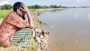 ধরলা নদীর ভাঙনে হুমকিতে ফসলি জমি