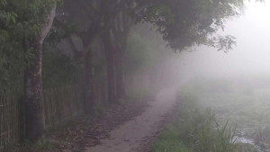 তাপমাত্রা নামল ১২ ডিগ্রিতে