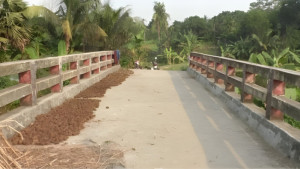 রাস্তাবিহীন ৫৭ লাখ টাকার সেতু, শুকানো হচ্ছে গরুর গোবর