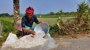 চুয়াডাঙ্গায় বাড়ছে সার সংকট, নেপথ্যে কারা?