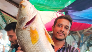 ১৮ হাজার টাকায় বিক্রি হলো দুটি মাছ