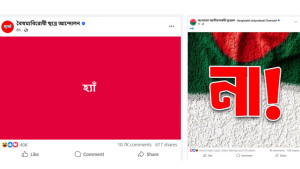 ‘হ্যাঁ’-‘না’ পোস্টারে সয়লাব সোশ্যাল মিডিয়া, নেপথ্যে কী