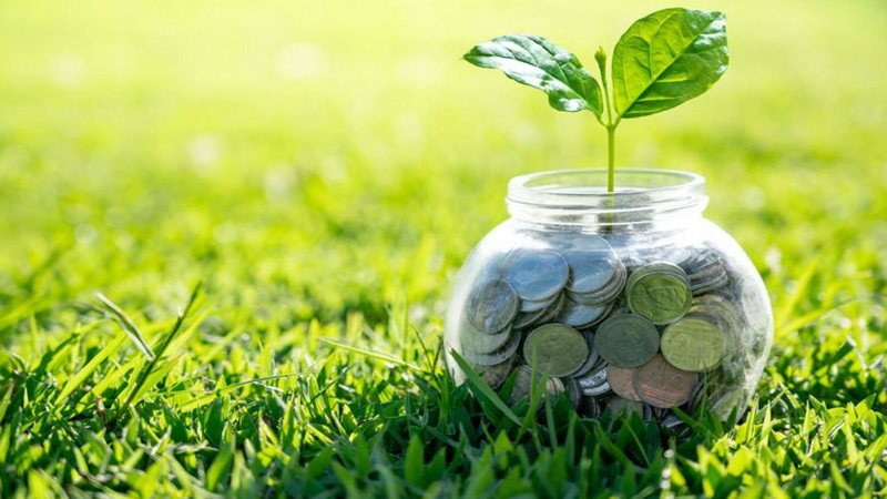 যেসব গুনাহর কারণে আয়-রোজগারে বরকত কমে যায় যেসব গুনাহর কারণে আয়-রোজগারে বরকত কমে যায়