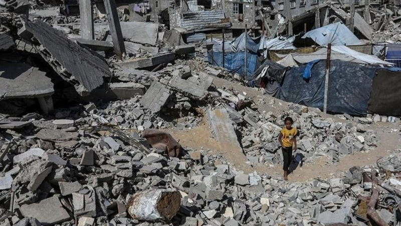 গাজায় এক পরিবারের ১১ জনকে হত্যা করল ইসরায়েল গাজায় এক পরিবারের ১১ জনকে হত্যা করল ইসরায়েল