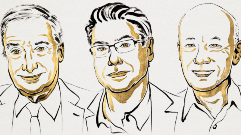 অর্থনীতিতে নোবেল পেলেন তিন অধ্যাপক অর্থনীতিতে নোবেল পেলেন তিন অধ্যাপক