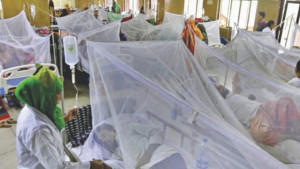 একদিনে সর্বোচ্চ ৫৬৮ জন ডেঙ্গু রোগী হাসপাতালে ভর্তি, ২৪ ঘণ্টায় প্রাণ গেল ৪ জনের