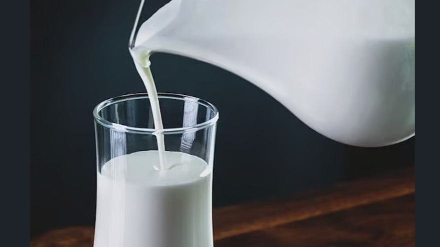 কাঁচা দুধ কি শরীরের জন্য হুমকি? কাঁচা দুধ কি শরীরের জন্য হুমকি?