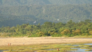 ভারতীয় খাসিয়ার গুলিতে বাংলাদেশি নিহত