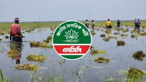হাওরে ধান সংকট: জরুরি রাষ্ট্রীয় হস্তক্ষেপ চায় এনসিপি