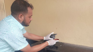 চিকিৎসা নিতে হাসপাতালে হাজির হলো কাক!