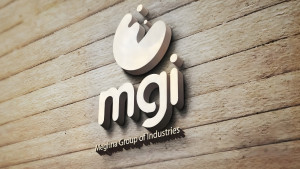 মেঘনা গ্রুপে নিয়োগ, আবেদন অনলাইনে