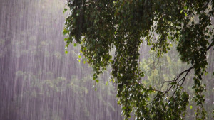 ৪ দিন বৃষ্টির পর বাড়তে পারে গরম