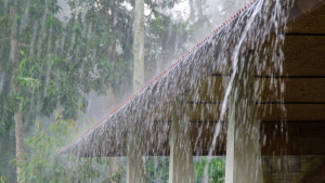 দেশজুড়ে বৃষ্টির আভাস