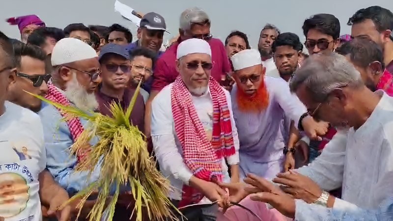 সোনালি বোরোতে ছেয়ে গেছে হাওর, পাশে থাকার আশ্বাস লুৎফুজ্জামান বাবরের