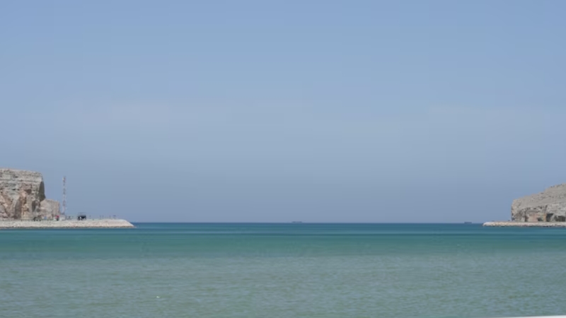 হরমুজ প্রণালি দিয়ে দিনে ১৫ জাহাজের বেশি নয়: ইরান