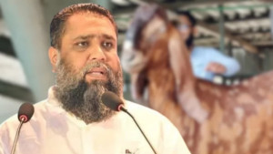 হত্যাচেষ্টা মামলায় গ্রেপ্তার সাদিক অ্যাগ্রোর ইমরান