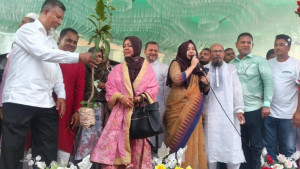 পরিবেশ রক্ষায় বেশি বেশি গাছ লাগানোর আহ্বান প্রতিমন্ত্রী আব্দুল বারীর