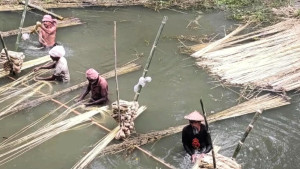 সোনালি আঁশে হাসি ফিরেছে কৃষকের মুখে