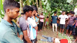 ট্রান্সফরমার চুরির সময় বিদ্যুৎস্পৃষ্টে ছিটকে পড়ল চোর, পালাল সহযোগীরা