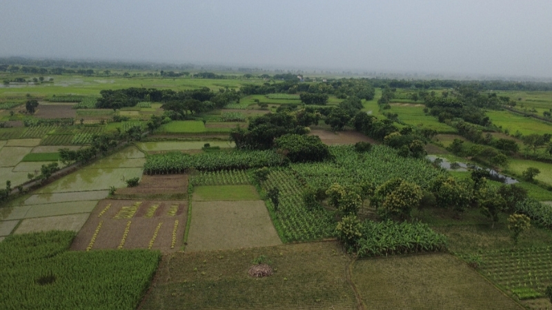 বাংলাদেশি বৃদ্ধকে নিয়ে গেছে বিএসএফ, পাল্টা দুই ভারতীয়কে তুলে আনলেন গ্রামবাসী