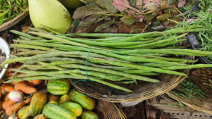 অসময়ে বাজারে সজনে, কেজি ২০০ টাকা