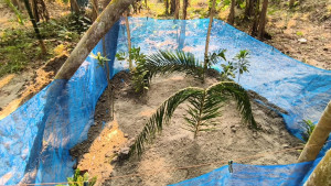 কারাফটকে স্বামীর শেষ দেখা, পাশাপাশি কবরে শায়িত স্ত্রী-সন্তান