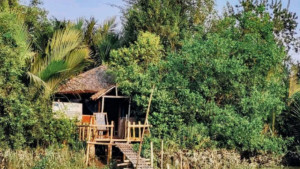 সুন্দরবনে অপহৃত দুই পর্যটক ও রিসোর্ট মালিক উদ্ধার