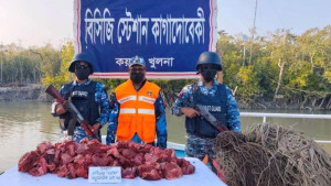সুন্দরবন থেকে ১০০ কেজি হরিণের মাংস ও ফাঁদ জব্দ