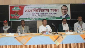 ধানের শীষের পক্ষে ঐক্যবদ্ধভাবে কাজ করতে হবে: তারেক রহমান