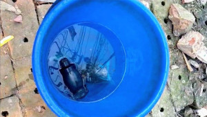 শিশুরা কুড়িয়ে পেল পুলিশের লুট হওয়া গ্রেনেড